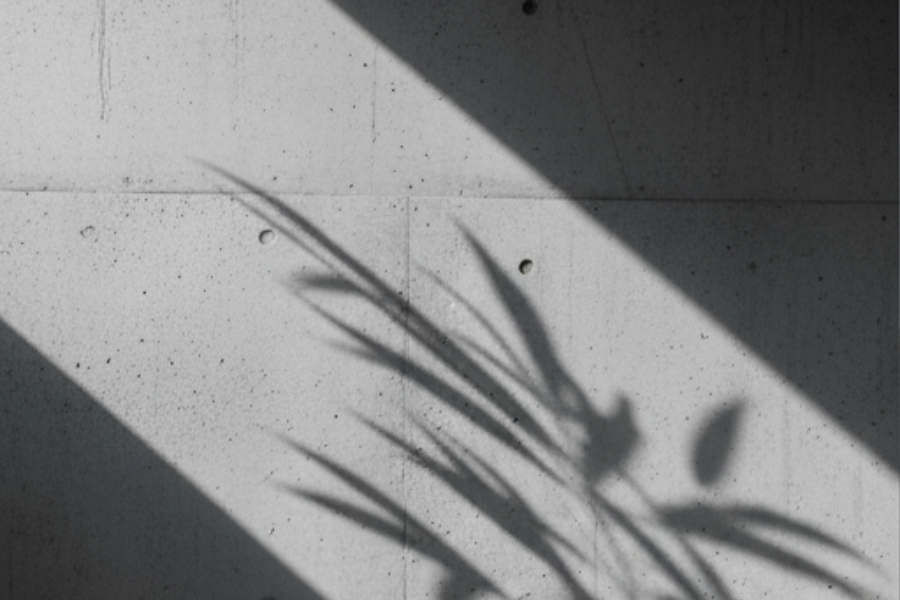 自分を『耕さない』という選択。